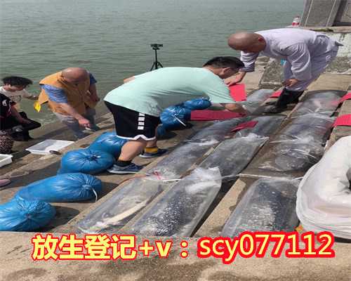 广州放生动物在哪里，广州惊现僵尸鱼：鱼已煮熟，吃一口，鱼头动一下