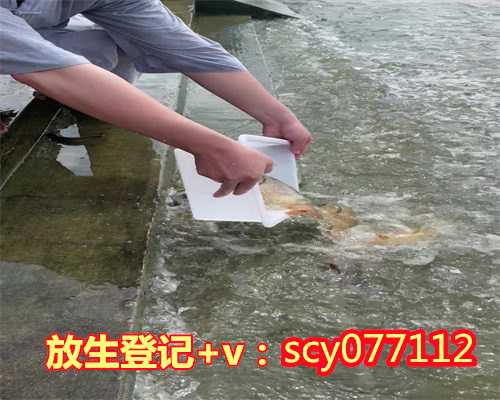 贵州腊八节放生,贵州放生的功德和福报回向,冬天结冰放生泥鳅