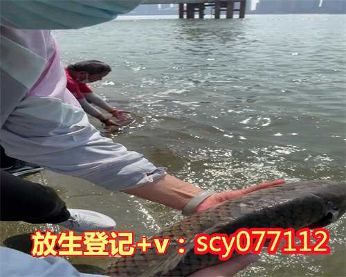广东何地可以放生鹌鹑，休渔放生节：广东十年放流鱼苗24亿尾