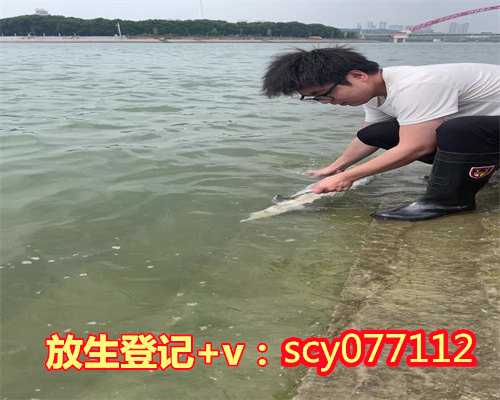 重庆放生小红鱼在哪里，重庆一条河突变黑入江口死鱼连成片