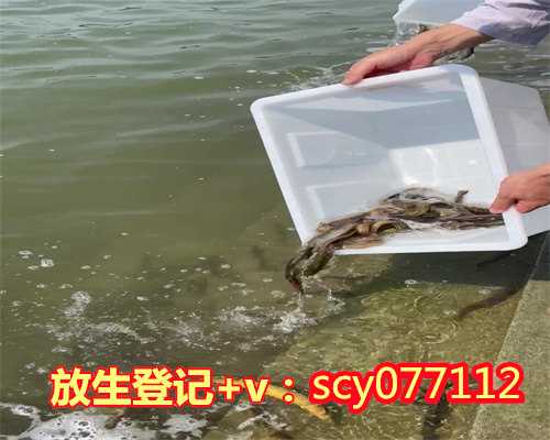 滁州放生现场，滁州放生财鱼在哪里，滁州最佳放生地点