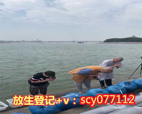 广东允许放生的水域，广东江门市海洋渔业局放生两只绿海龟