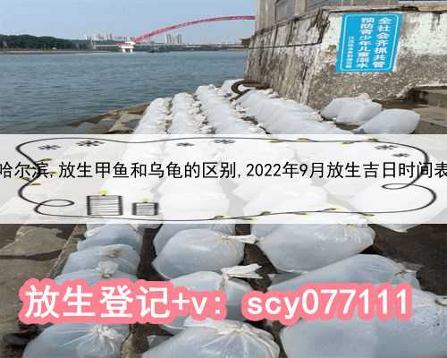 哈尔滨,放生甲鱼和乌龟的区别,2022年