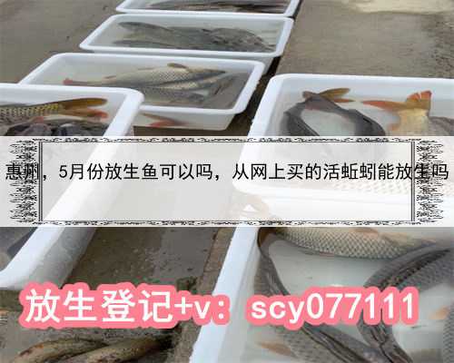 惠州5月份放生鱼可以吗，从网上买的活蚯蚓能放生吗