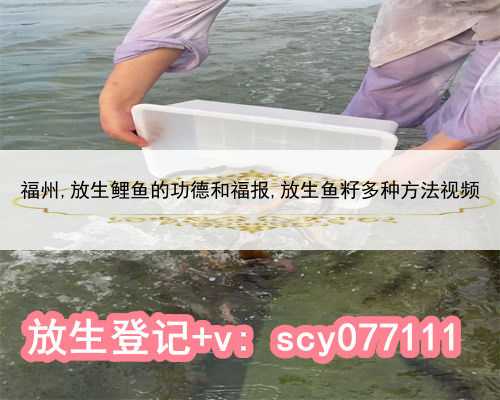 福州,放生鲤鱼的功德和福报,放生鱼籽多种方法视频