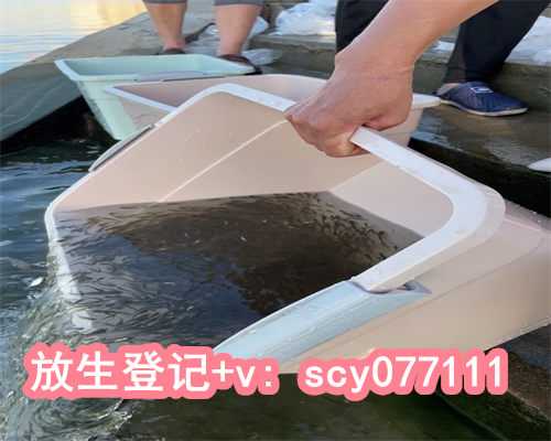福州放生鳗鱼（福州2022年9月有哪些放生吉日）
