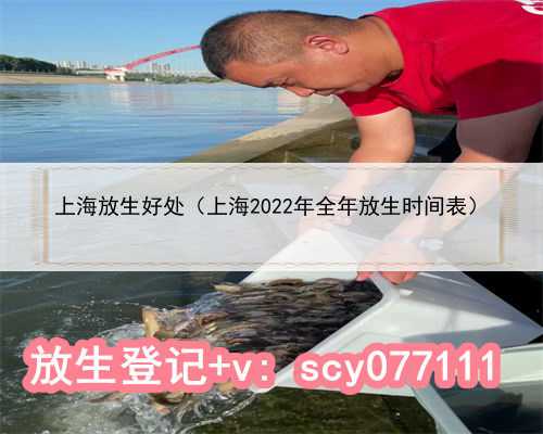 上海放生好处（上海2022年全年放生时间表）